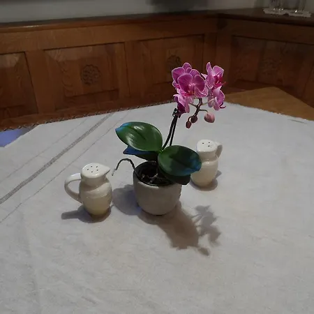 Andreas Apartment Creglingen